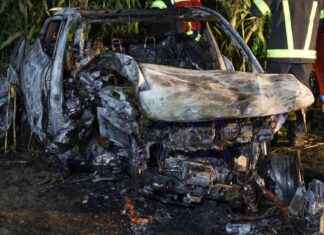 Trauer um Anja (17): Tragischer Unfalltod in Oberösterreich news-06082024-200628