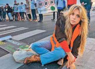 Aktivistin spricht über Aus: „Reißt mir das Herz heraus“ news-06082024-204015