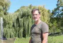 Sommer-Mojo: Neue Knie-Stütze ab Herbst in Österreich news-06082024-204211