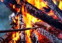 Waldbrandgefahr: Zündverbot im Bezirk Braunau news-08082024-105650