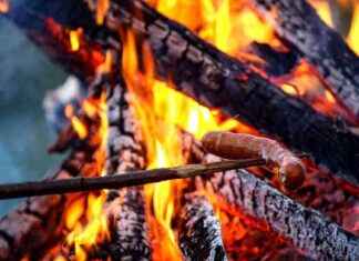 Waldbrandgefahr: Zündverbot im Bezirk Braunau news-08082024-105650