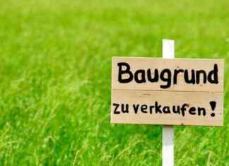 Grundstücksdeal-Kritik: Lobner dementiert Involvierung news-08082024-175818