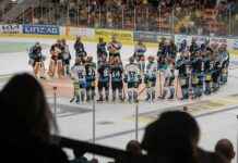 Black Wings eröffnen neue Eiszeit: Trainingsspiel, Autogrammstunde und 1000 Fans news-10082024-050631