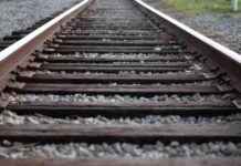 Wiederaufnahme des Schmalspurbahnverkehrs in Nová Bystřice news-10082024-050659