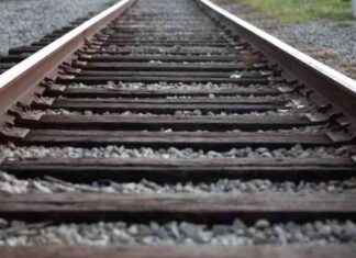 Wiederaufnahme des Schmalspurbahnverkehrs in Nová Bystřice news-10082024-050659