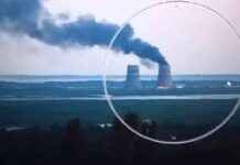 Brand am Kühlturm von AKW Saporischschja: Ursachen und Folgen news-12082024-021102