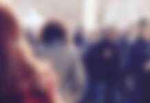 Die Grünen – Die Partei für Durchsetzungskraft news-12082024-234529