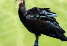 Abenteuerlustige Frau: Eine inspirierende Reisegeschichte news-13082024-235616