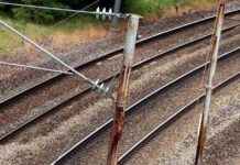 Zugunfall in Bayern: Eurocity kollidierte mit umgestürztem Baum news-14082024-095453