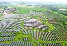 Kann Chinas Rückgang der CO₂-Emissionen dauerhaft sein? news-15082024-114651