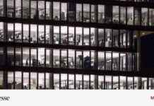 Mindestlohn in Deutschland: Was sind die aktuellen Regelungen? news-15082024-114757