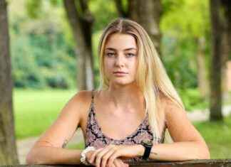 Alles über Erdwespennest: Wenn der Kurzurlaub zum Albtraum wird news-15082024-235304