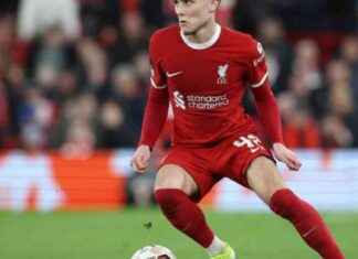 Bobby Clark: Red Bull Salzburg zahlt 11 Millionen Euro für Transferziel news-16082024-055653