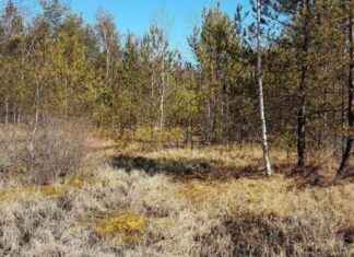 Erweiterung des Schremser Moors um 2,6 Hektar news-16082024-055802