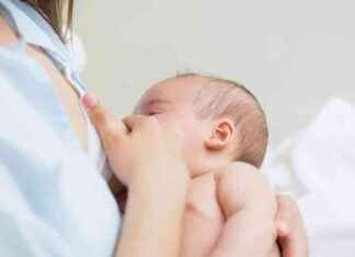 Stillende Frauen teilen ihre Erfahrungen: Eklig oder natürlich? news-16082024-115743