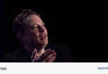 Konflikt zwischen der EU und Elon Musk: Was bedeutet das für die Zukunft? news-16082024-115818