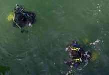 Leiche eines Mannes im Wolfgangsee entdeckt news-17082024-120929