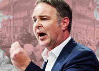 Kann Andreas Babler die SPÖ retten? news-18082024-110450