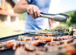 Kann Gasgrill Holzkohlegrill ersetzen? news-18082024-110522