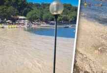 Ausbreitung des Algenteppichs an Stränden: Urlauber meiden betroffene Gebiete news-18082024-110631