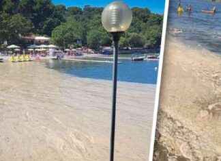 Ausbreitung des Algenteppichs an Stränden: Urlauber meiden betroffene Gebiete news-18082024-110631