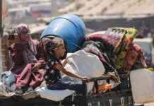 Zwischen Hoffnung und Illusion: Herausforderungen für eine… news-18082024-230841