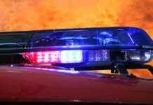 Waldbrand bei Gainfarn – Feuerwehren im Einsatz news-18082024-231115