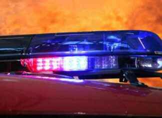 Waldbrand bei Gainfarn – Feuerwehren im Einsatz news-18082024-231115