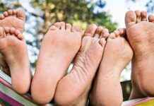 Sozialhilfe-Betrug: Können Arbeitsmuffel das System ausnutzen? news-19082024-111144