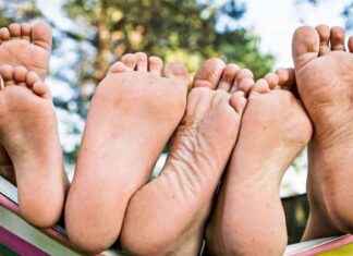 Sozialhilfe-Betrug: Können Arbeitsmuffel das System ausnutzen? news-19082024-111144