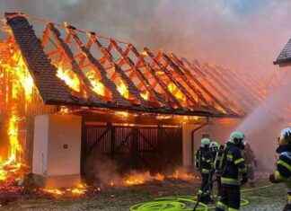 Brandstiftung vermutet: Opfer im künstlichen Tiefschlaf – Ermittlungen im Gange news-19082024-111219