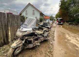 Hollabrunn: Erneutes Überflutungsdrama news-19082024-111347