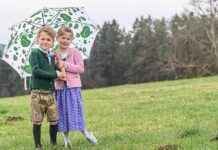 Sommer vorbei: Wie lange dauert das sonnige Wetter in der Steiermark? news-19082024-231549