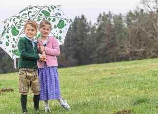 Sommer vorbei: Wie lange dauert das sonnige Wetter in der Steiermark? news-19082024-231549