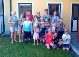 Kinder aus Frankenfels sammeln Kräutersträuße news-19082024-231856