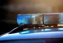 Unfall in Tirol: Zwei Verletzte und Hund stirbt news-20082024-112223