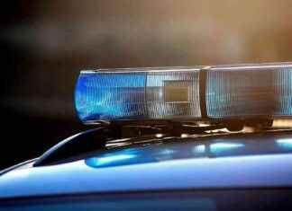 Unfall in Tirol: Zwei Verletzte und Hund stirbt news-20082024-112223