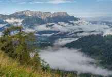 Schöne Herbstbilder: Tipps für tolle Herbstimpressionen news-20082024-232341