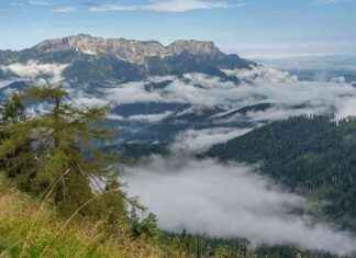 Schöne Herbstbilder: Tipps für tolle Herbstimpressionen news-20082024-232341