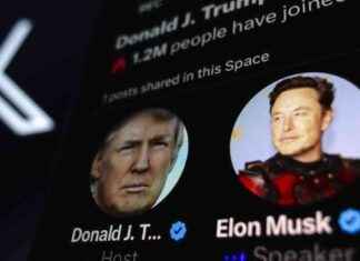 Elon Musk – Der wichtigste Unterstützer von Donald Trump – Analyse und Bewertung news-22082024-050135