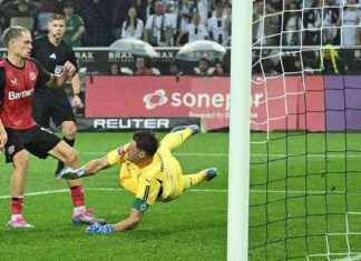 Bayer Leverkusen gewinnt gegen Mainz mit spätem 3:2-Sieg news-24082024-002148