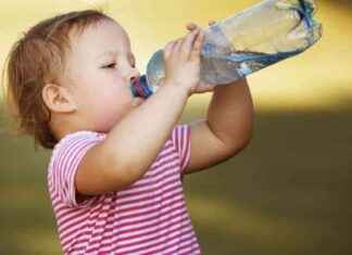 Hitzebelastung in Grazer Kindergärten: Maßnahmen gegen „erschöpfte Kinder und Personal“ news-25082024-002323