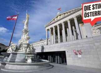 Die Identität des Stimme Österreichs enthüllt: Wer steckt dahinter? news-25082024-122707