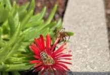 Entdecken Sie die besten Tipps zum Finden verlorener Gegenstände in Ihrem Zuhause! news-26082024-002916