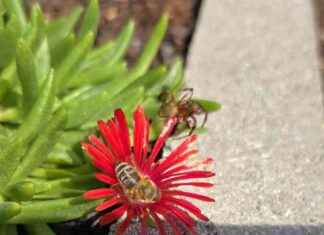 Entdecken Sie die besten Tipps zum Finden verlorener Gegenstände in Ihrem Zuhause! news-26082024-002916