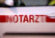 Schwerer Unfall: Zwei junge Mopedfahrer schwer verletzt news-26082024-002954