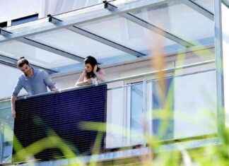 Neue Gesetze ab September: Klimabonus und Pflegestipendium news-26082024-122817