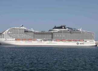 EU-Taxonomie: Klage gegen EU-Kommission wegen grüner Flugzeuge und Kreuzfahrtschiffe. news-28082024-124803