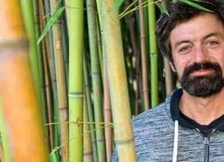 Biodiversitätsforscher Essl: Kritik an der politischen Versäumnis news-29082024-130124