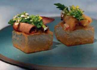 JRE CHEF’S ROULETTE 2024: Leitfaden und Tipps für das neue Jahr news-30082024-130746